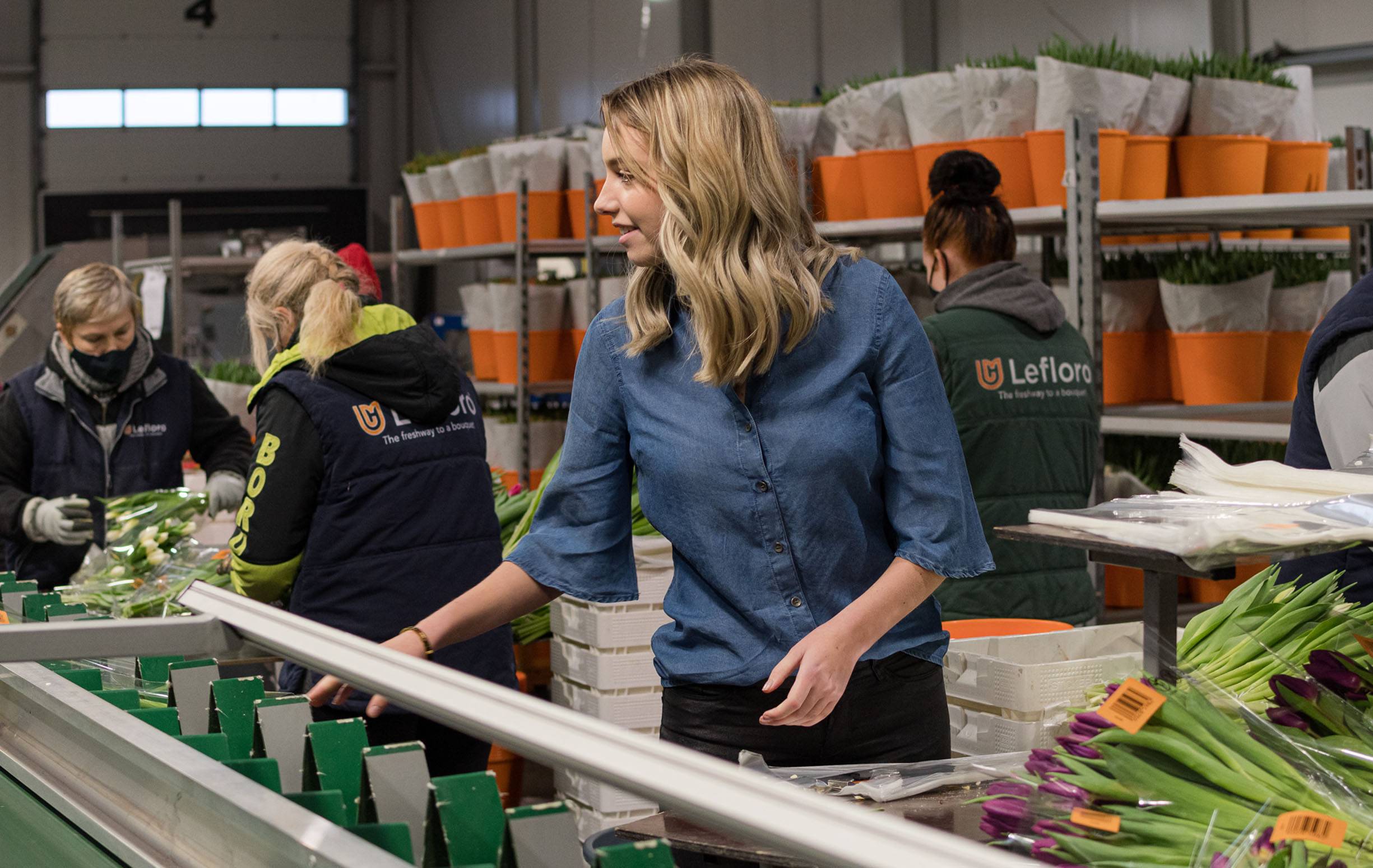 Seizoensmedewerkers afbeelding 4