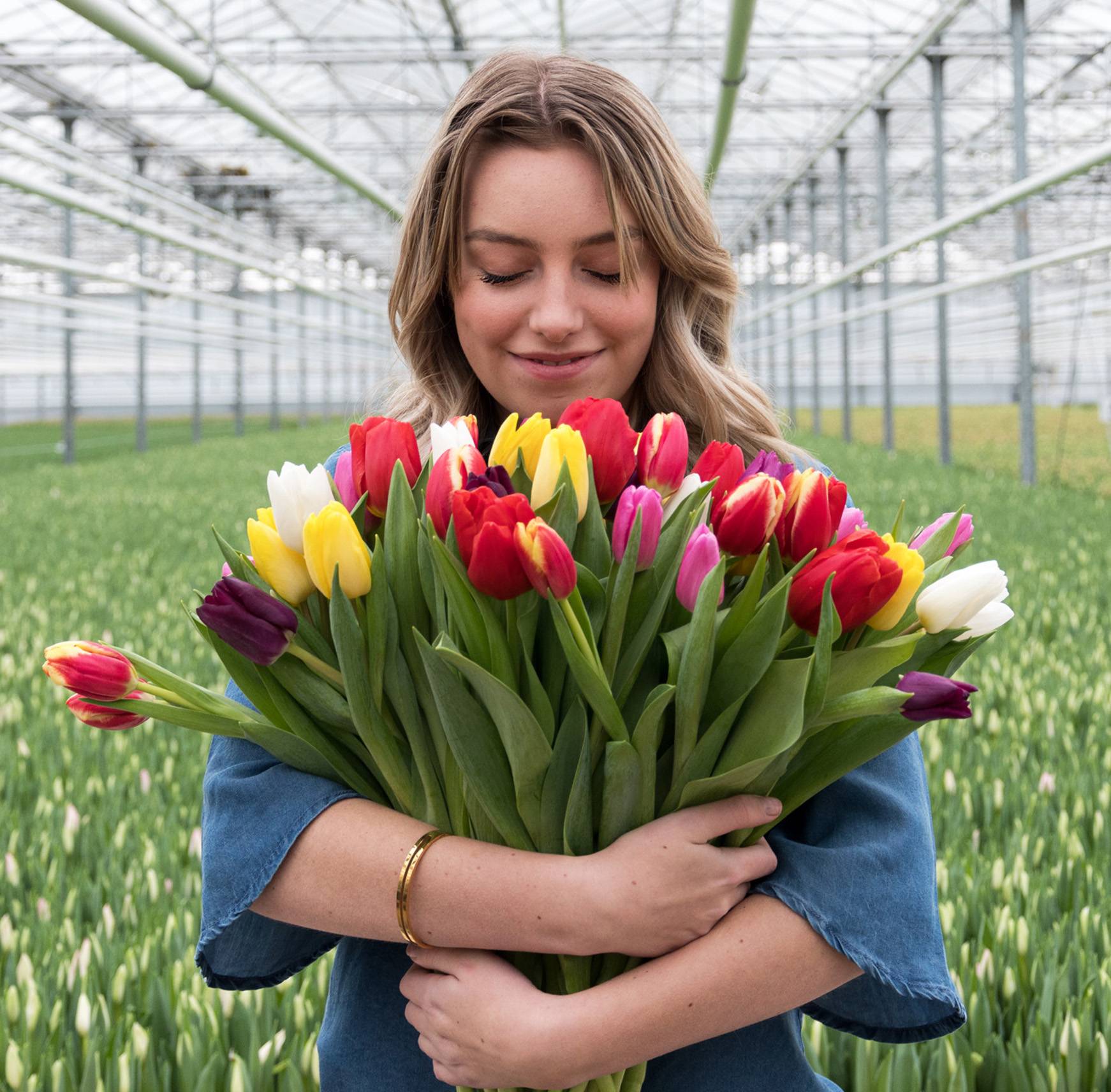 Ronico vrolijkheid van tulpen verspreiden