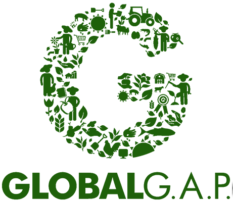 logo-global-cap